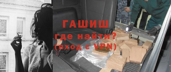 мдпв Инсар