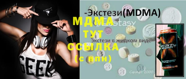 мдпв Инсар