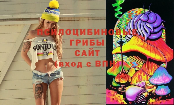 MDMA Каменка