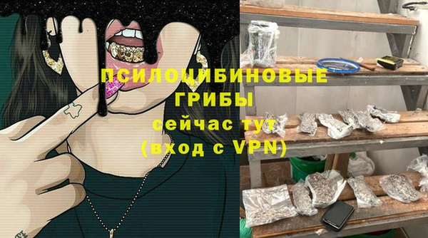 шишки Заволжье