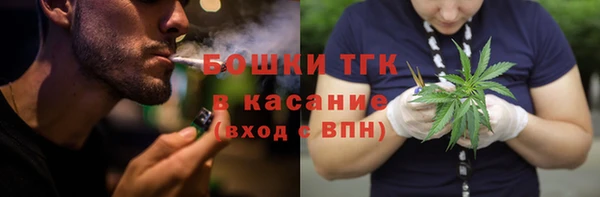 крисы Инта
