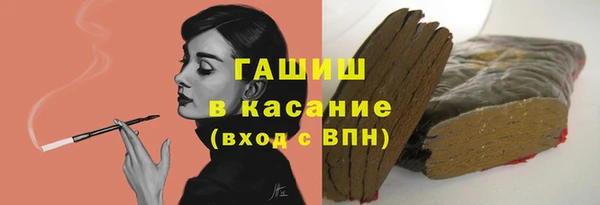 мдпв Инсар