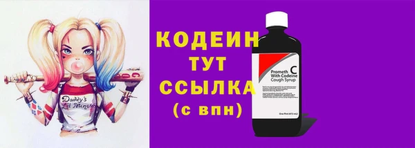 крисы Инта