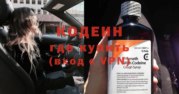мдпв Инсар