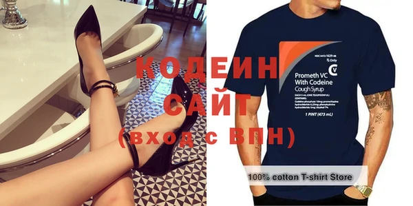 шишки Заволжье