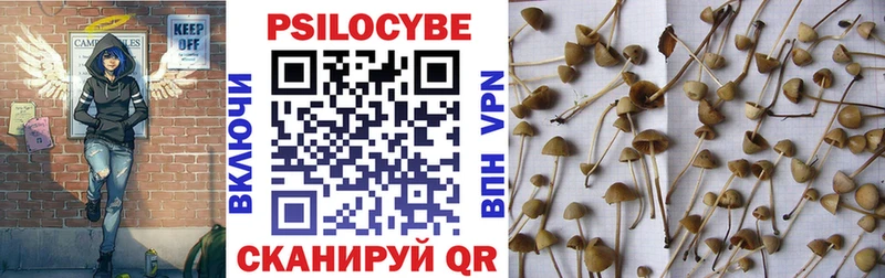 Псилоцибиновые грибы Psilocybine cubensis  Киреевск 