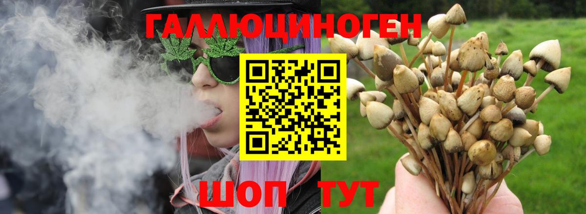 Галлюциногенные грибы мухоморы Киреевск